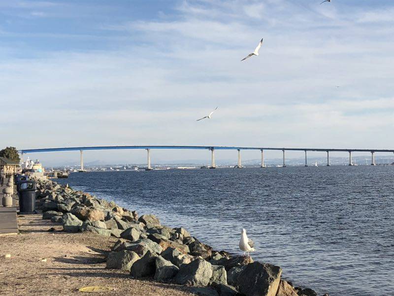 动态市盈率|中国石油第三季度扭亏盈利，股价再创历史新低，为何会这么熊呢？