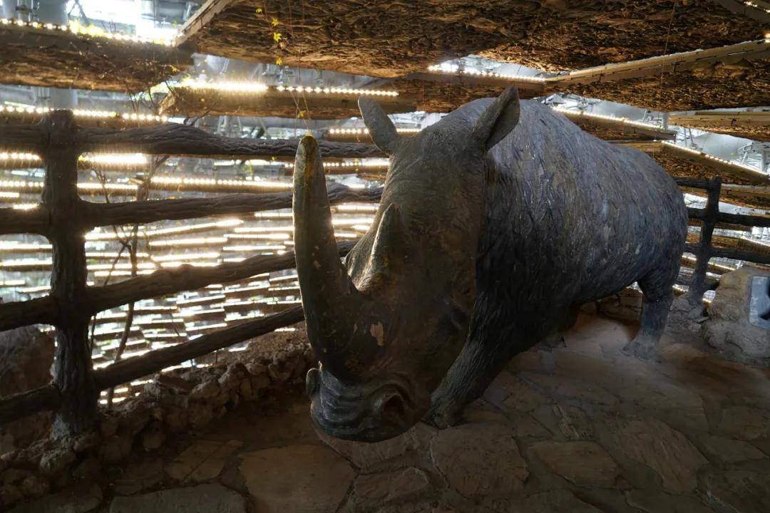 头盖骨|北京西南郊小山包 为何成为世界文化遗产