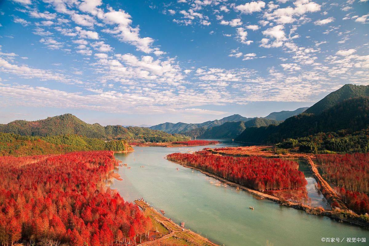 安徽“最美”红杉林景区，就在皖南川藏线，一到秋天，美如天堂_游客