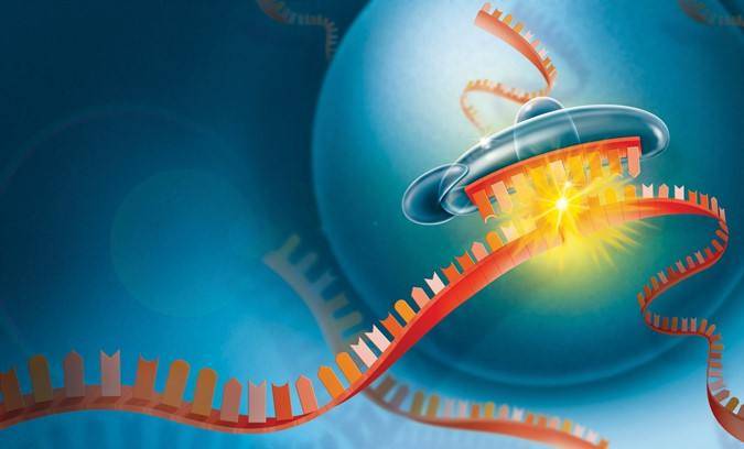 新药|乙肝在研新药JNJ-3989，II期新晋研究，评cccDNA