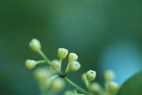 b31a9ef66e4643d7bcaad757ebc19ed9.jpeg