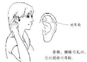 ec6e10a5f9cc455b8a5ca860f8401aef.jpeg