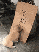 搞笑gif:违规操作,这样会不会很危险?