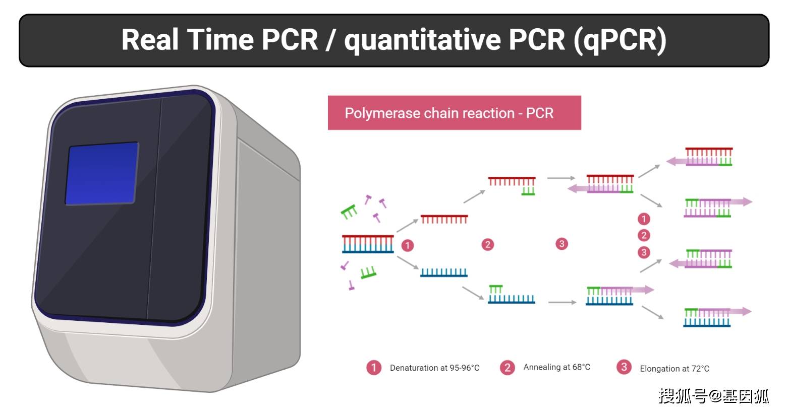 经验教程realtimeqpcr引物探针设计和使用十大误区