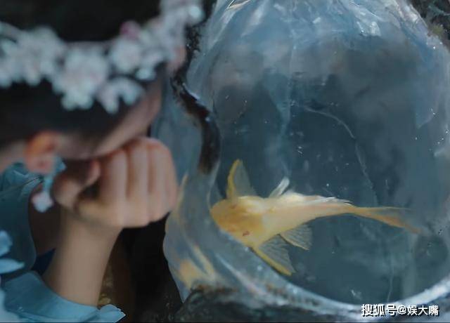 《海大鱼》绿脸新郎实至名归!新娘当自己面想别人,海神气的眼红