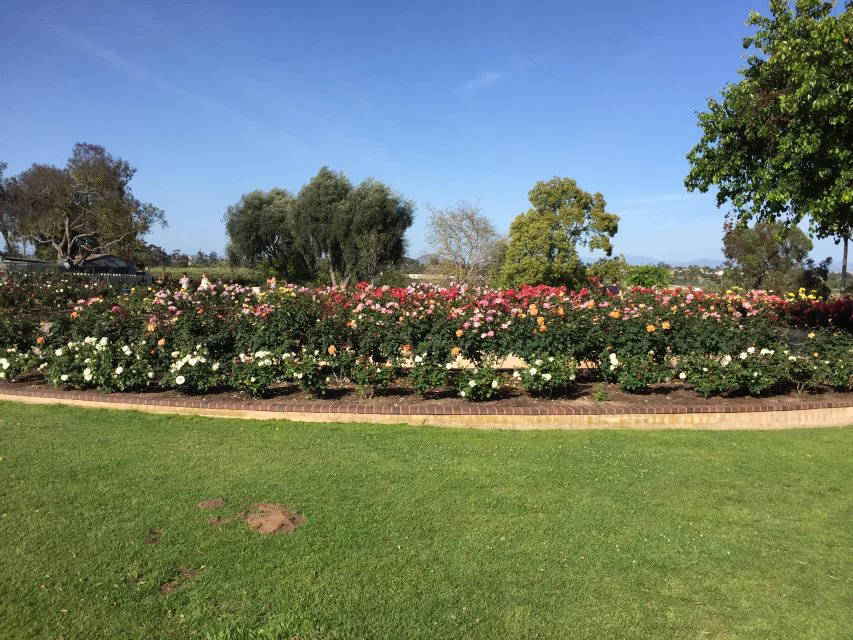 2020美国数据科学硕_美英港新独家:2020年美国数据科学DataScience项目自制(2)