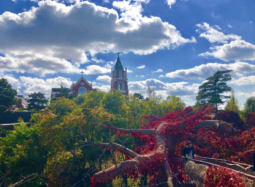 沈阳有一座神秘学院，夏天是绿野仙踪，秋天是哈利波特魔法学院_树干