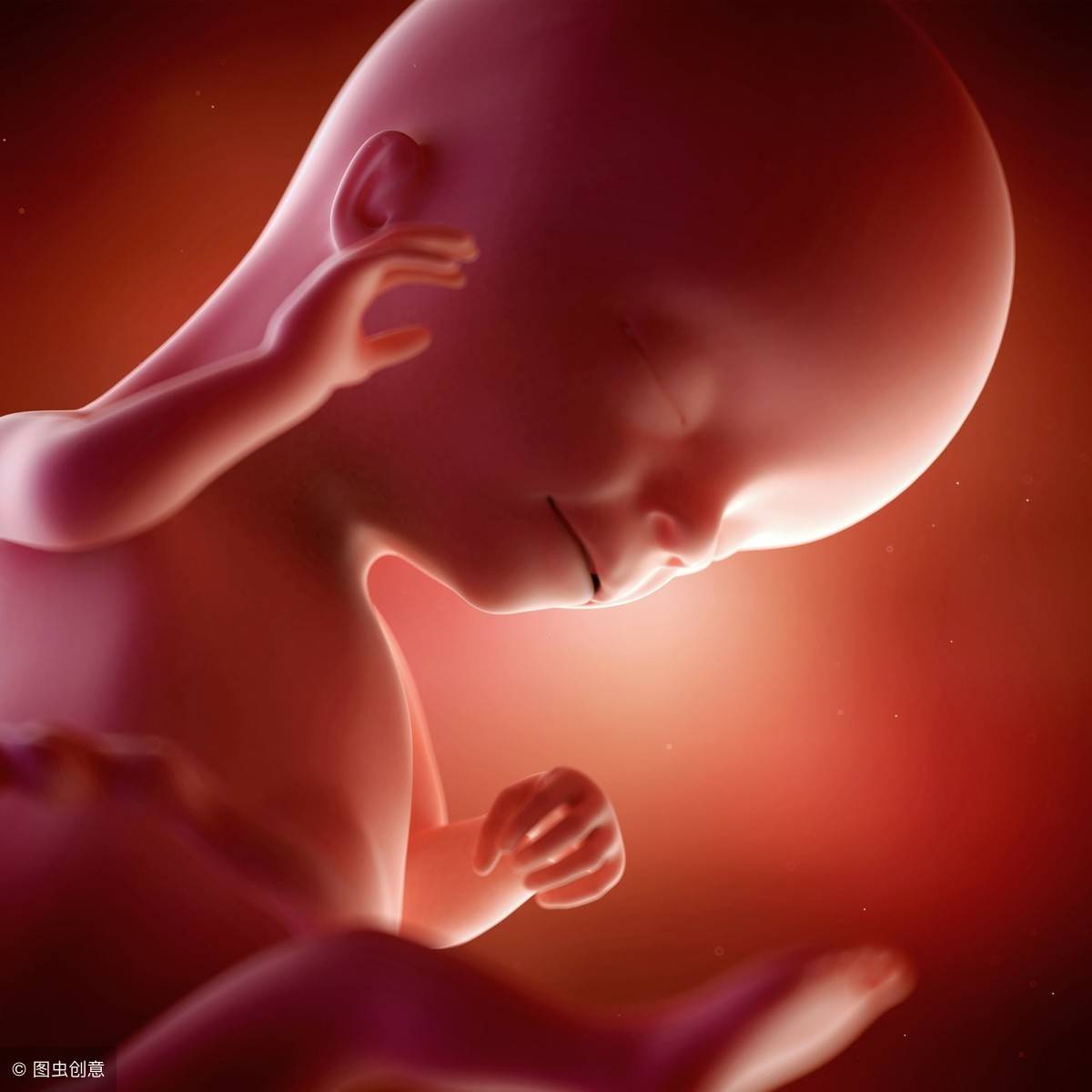 怀孕1-40周完整详细的胎儿发育过程图 - 知乎