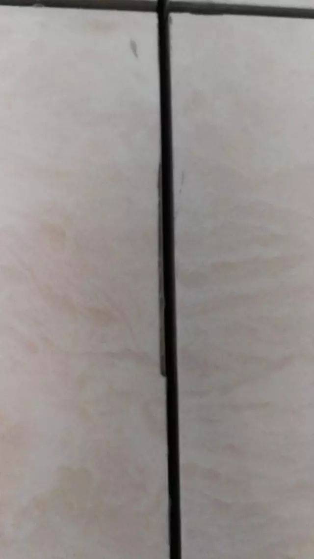 2ac5fb5afad54cf4b5e7b9a4833d8c2f.jpeg