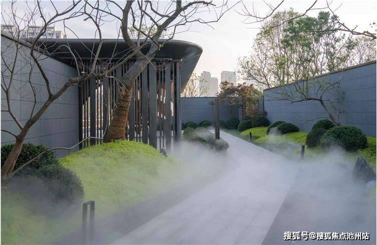 秀洲GDP_秀洲农民画(3)