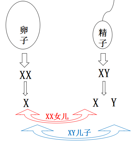 7dd831cdcfe2440d80d8c3f987d2c5c2.png