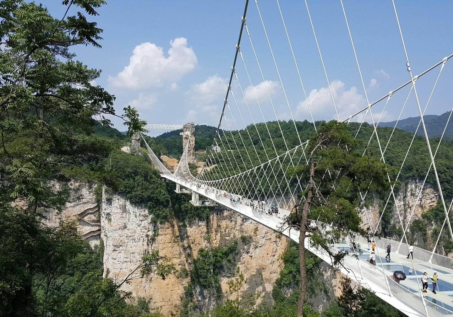 张家界旅游gdp_国内旅游 国内旅游线路 广西康辉国际旅行社 广西旅行社 南宁旅行社 广西旅游(3)