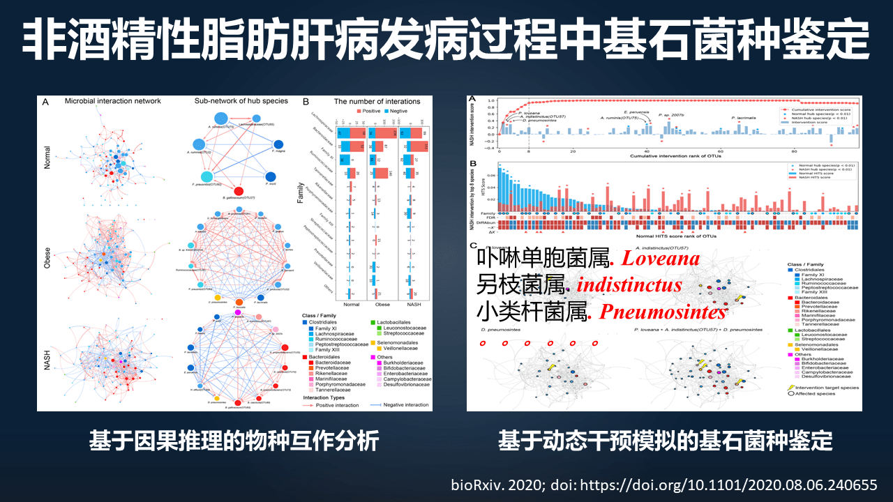 朱瑞新|朱瑞新：12分钟讲透如何迈向因果并精准干预菌群