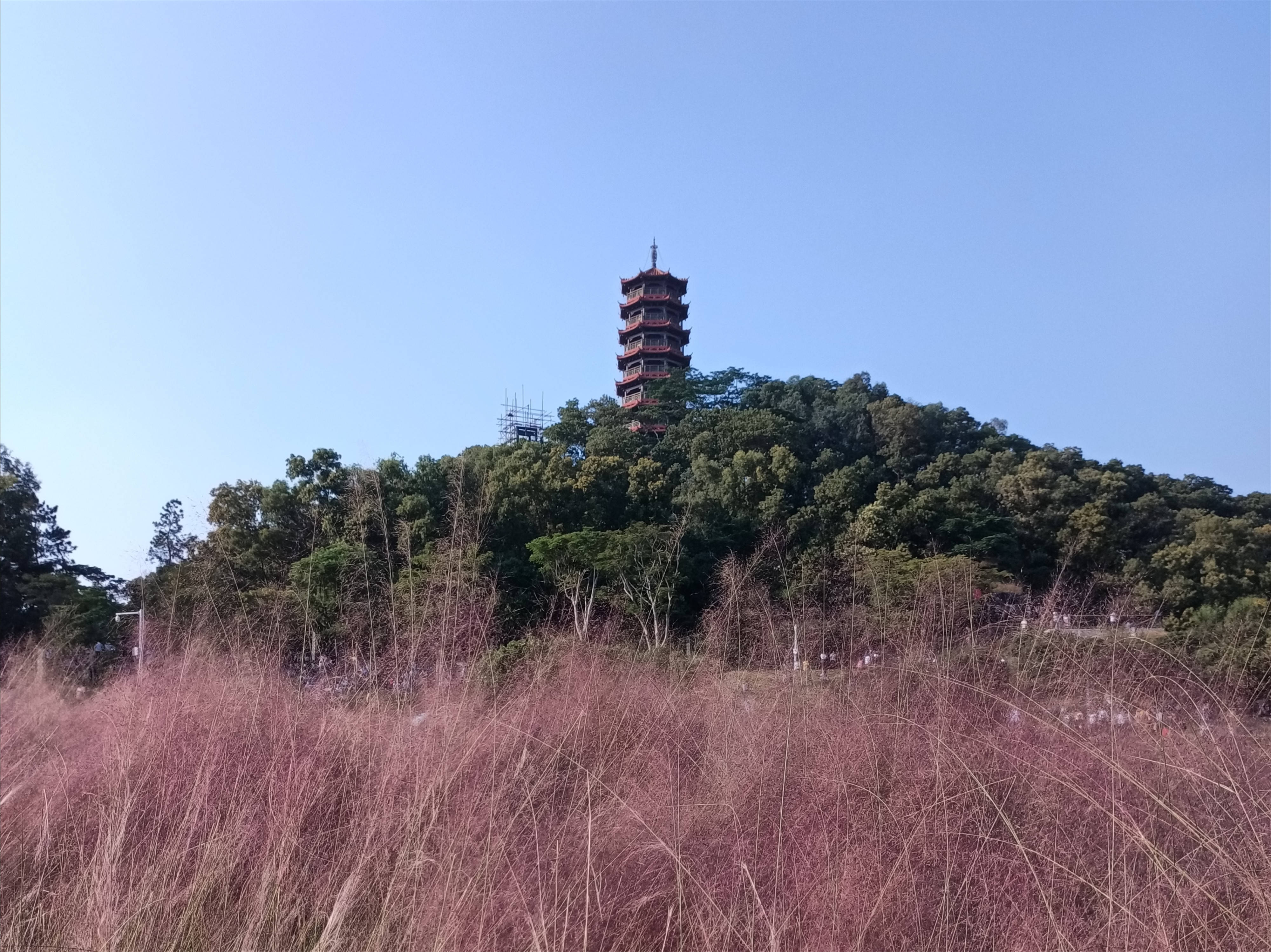 网红景点打卡:深圳红花山公园