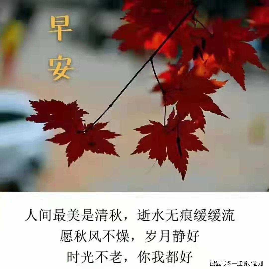 暑热已退,秋风送爽,早晚添衣,共享健康!10,早安,美丽好心情!
