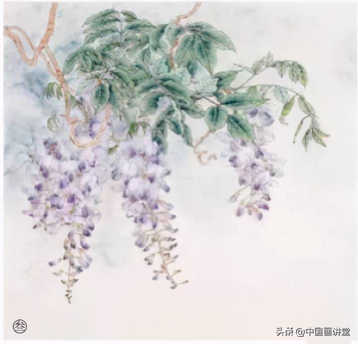 图文教程:工笔杏花,紫藤画法