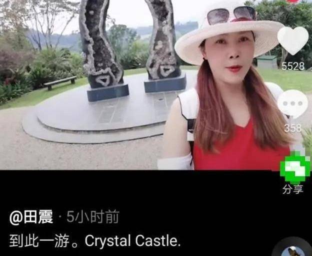 都是那|54岁膝下无子的田震，生活给她再多打击，她都是那朵铿锵玫瑰