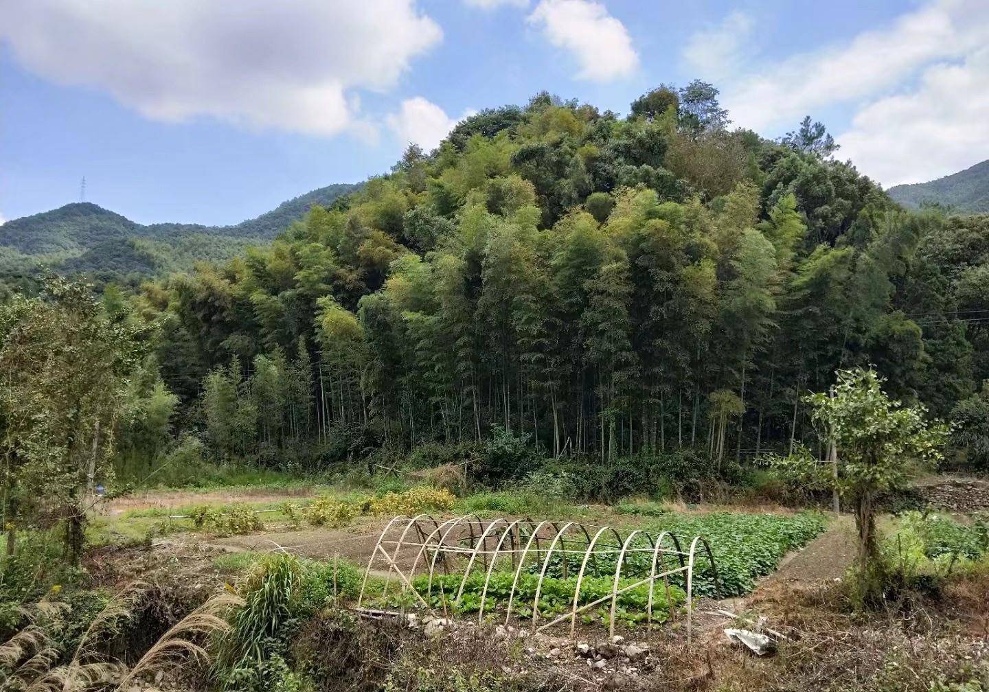 横街镇人口_宁波横街镇中学