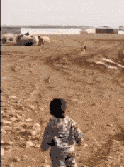 42ce920f74b4464da209358327108402.gif