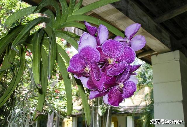 万代股份终止深交所中小板IPO 中天国富保荐