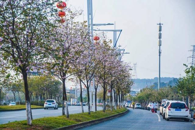 鹤壁为什么gdp没破千亿_鹤壁职业技术学院