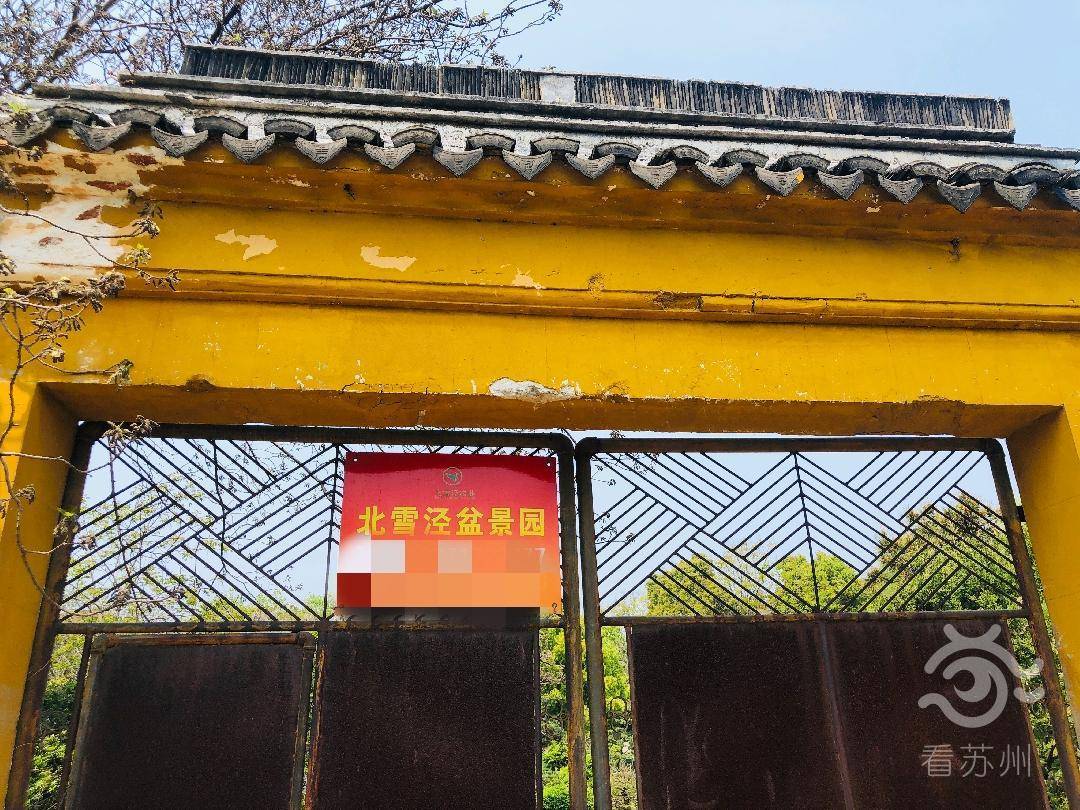 后院的铁门上挂着"北雪泾盆景园"招牌,记者以购买盆景为由见到了盆景
