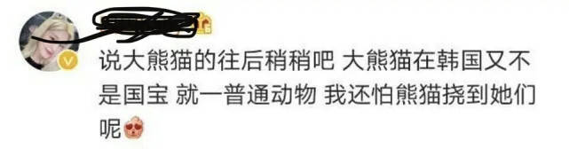 韩国女团违规抱熊猫幼崽后，粉丝与防弹粉互骂