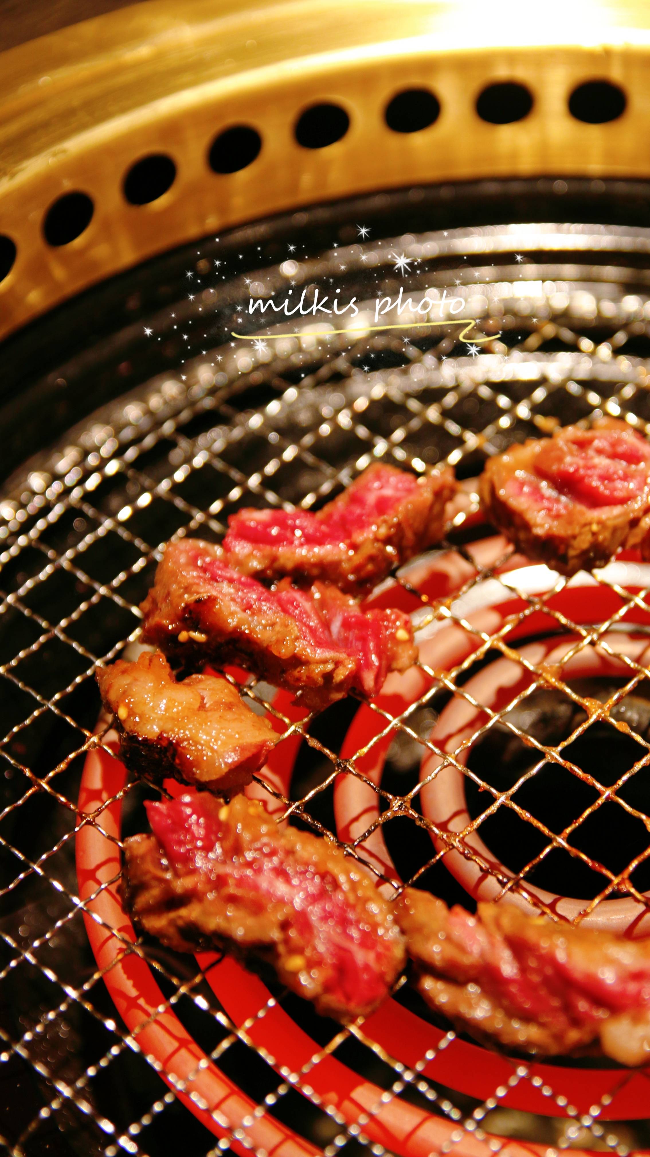 人均肉食_肉食动物(2)