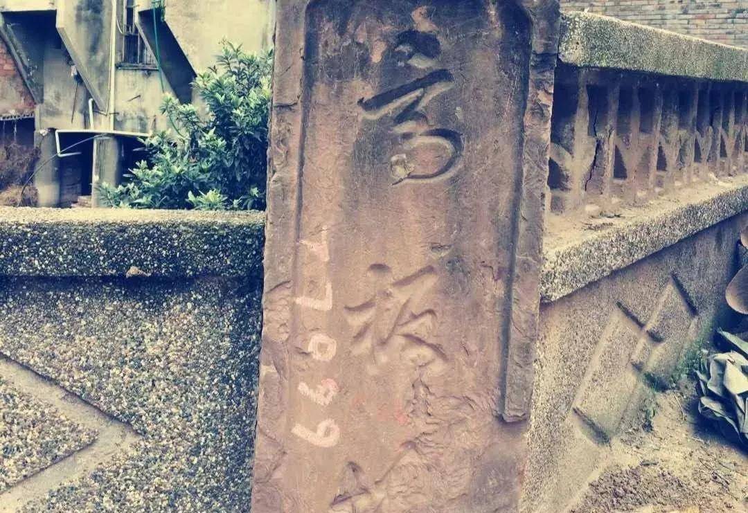 唐姓有多少人口(3)