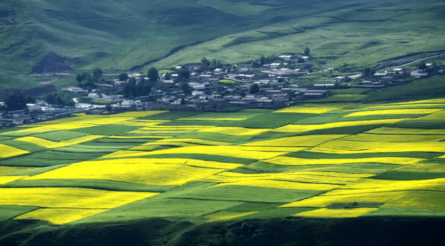 2020青海各市经济排名_青海最不容小觑的城市:经济赶超黄南、海北,不是海(2)