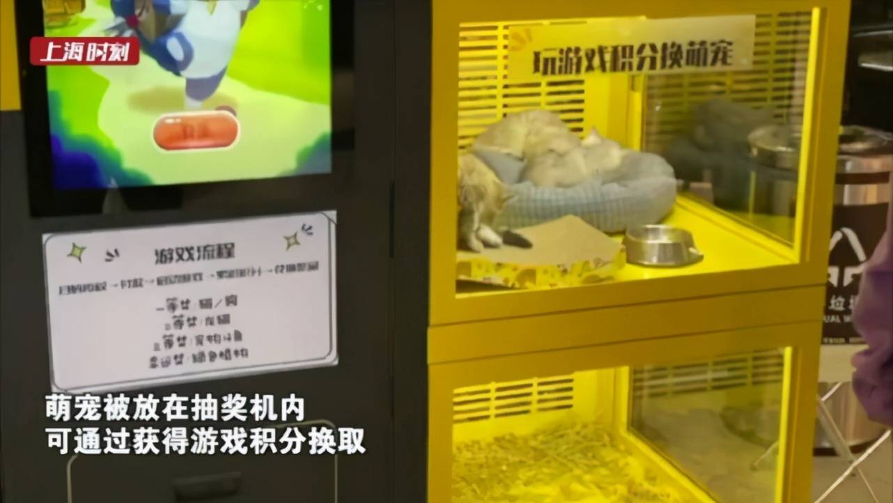939a20e615a74cad90364dfcc8a30bdb.jpeg