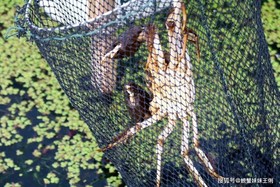 动态心电图做一个多少钱 a4c6af1166cd490eaf9051c54cb6fce1.jpeg