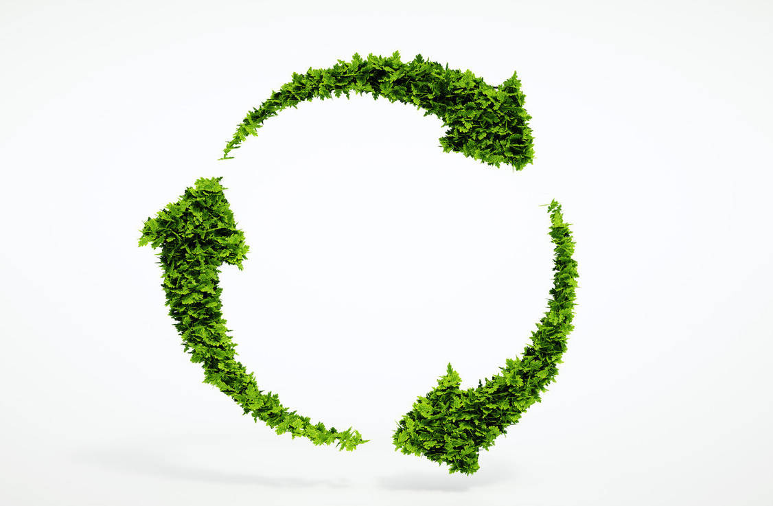 中国股市：公司回购股票意味着什么？了解了就可以据此选牛股_搜狐网