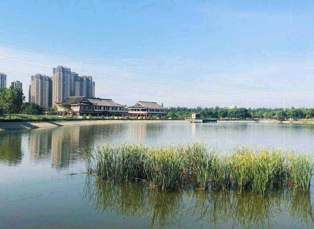 如今已建成北湖,青龙湖,锦城湖三大人工湖及湿地公园.