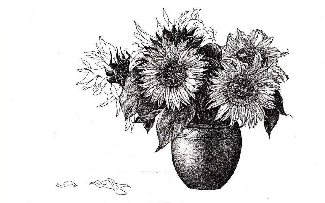 素描画图片大全 静物 0ead8b05e9cd4b9a9ba58ac0562e4257.jpeg