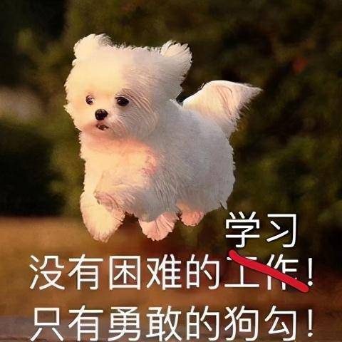 f22ee108ae4b4874a9796fe5d5a82cd3.jpeg