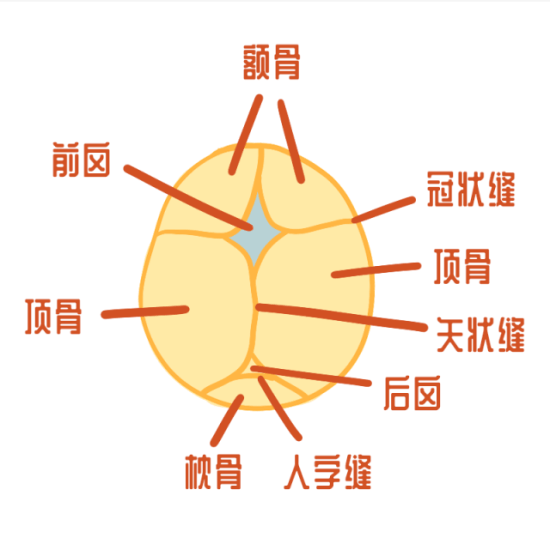 宝宝|洗不干净真的会生病，家长要当心！宝宝身上也有“死角”