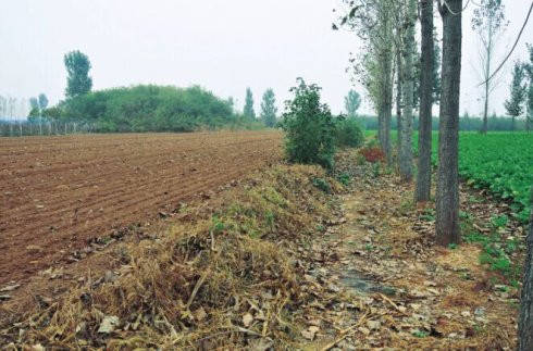 遗址|曾经东汉最大的天文台，现在却踪迹全无，究竟是什么原因呢？