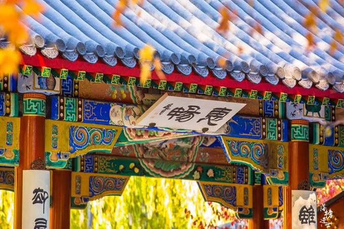 北京地坛的秋色居然这么美，门票2元能玩一天，再不来要再等一年_银杏