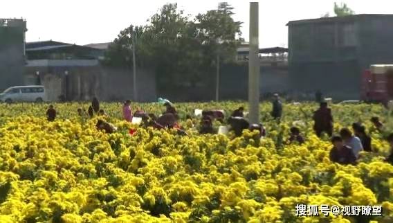 禹州市有多少人口_禹州市高级中学(3)