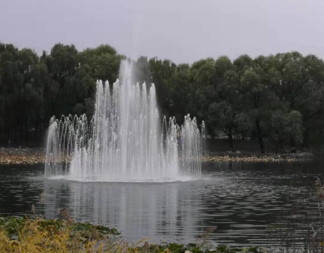 2020中国民办大学教_2020年中国民办大学排名公布,武昌首义学院第一