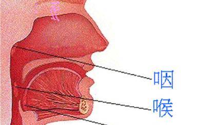 咽喉炎医院排名_咽喉炎医院单子图片