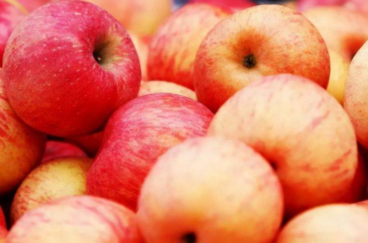 苹果的功效与作用能降血糖吗 47c40f0935354a8bb2e73afcfa0d9843.jpeg