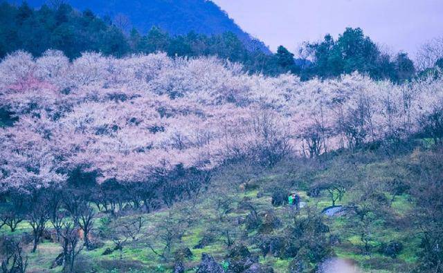 大邑常住人口_大邑刘氏庄园