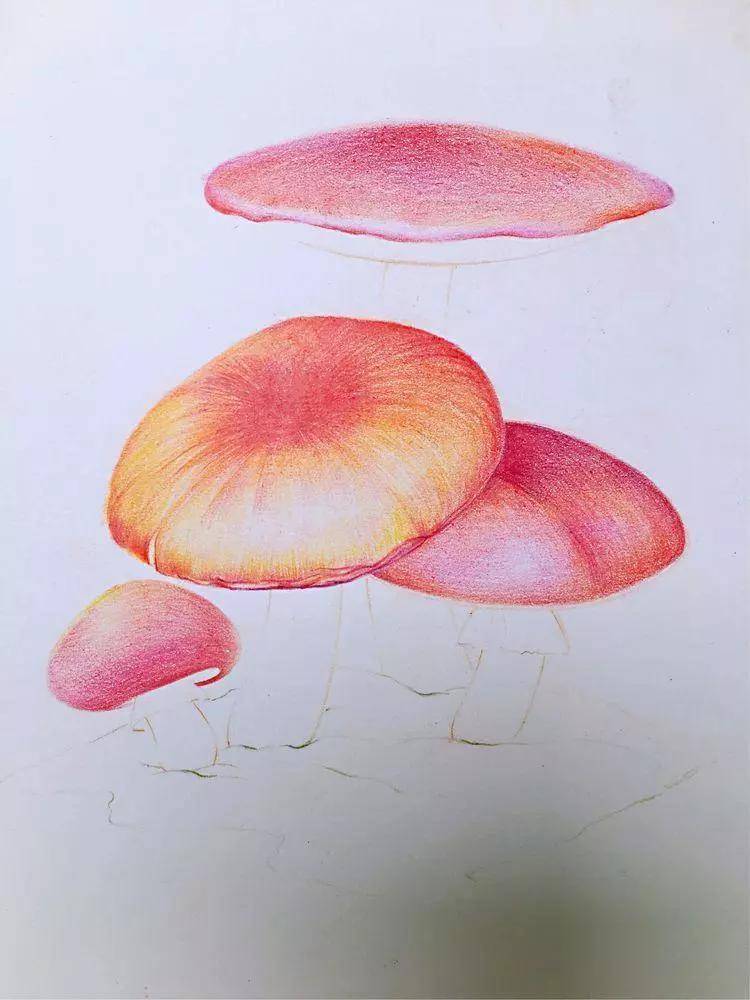成人零基础学画画教程|成人想学画画但是是零基础(附绘画全套视频教程