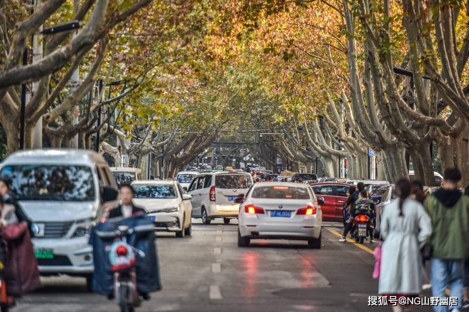 都知道皖南秋韵，却忽视了皖北秋景，眼下的淮北市美炸天！