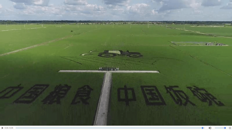 鸡西市虎林市gdp_鸡西市人民政府网站