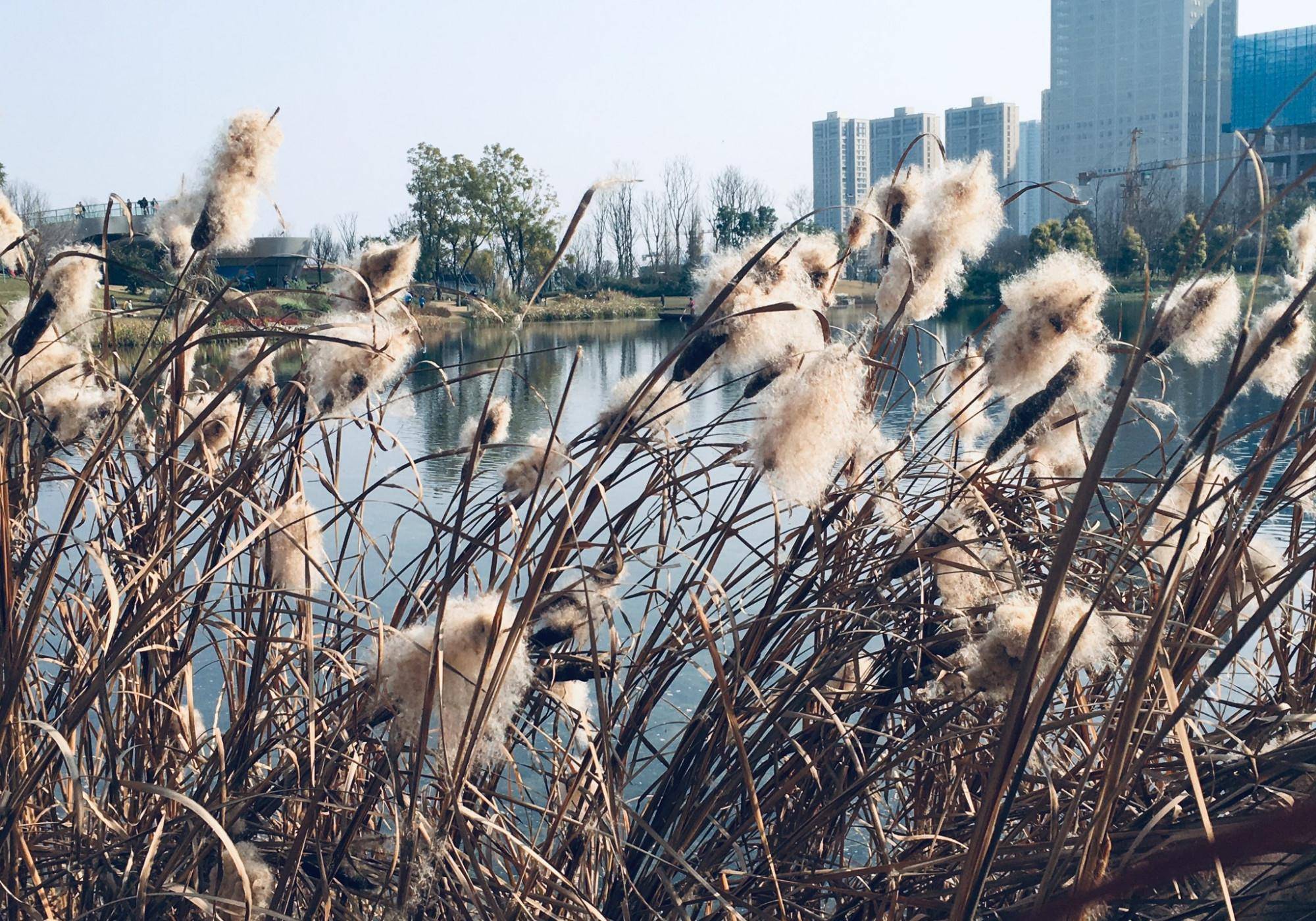 中印经济总量领先世界18个世纪_中印冲突