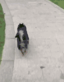 a9f2eb8a207445d288b749c36328f634.gif