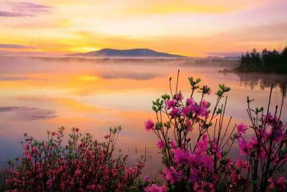 2020年十二星座爱情_晨霁2020年12月份处女座星座运势:爱情的觉醒